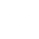 Verrion